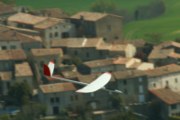 CDF laurac 2010