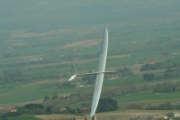 CDF laurac 2010