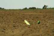 CDF laurac 2010