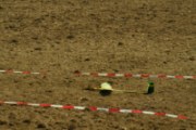 CDF laurac 2010