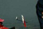 CDF laurac 2010